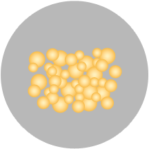 q 02