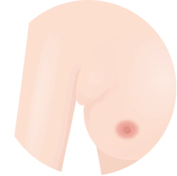 breast17 cont05 02