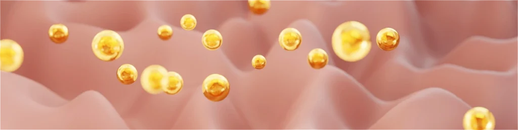 hh